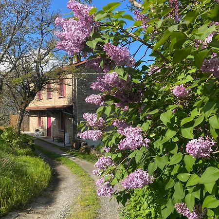 La Lupa E L'Orso Bed and Breakfast Berceto Εξωτερικό φωτογραφία