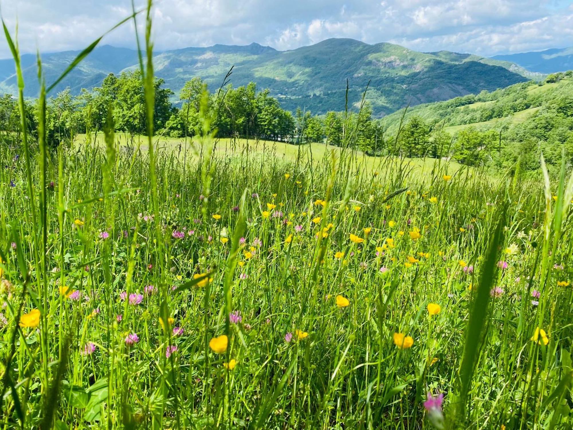 La Lupa E L'Orso Bed and Breakfast Berceto Εξωτερικό φωτογραφία