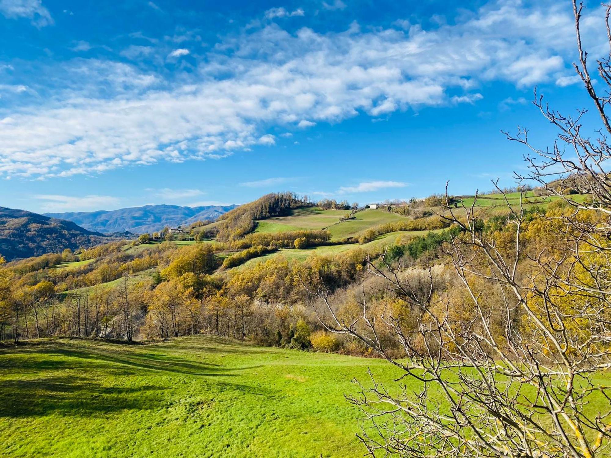 La Lupa E L'Orso Bed and Breakfast Berceto Εξωτερικό φωτογραφία