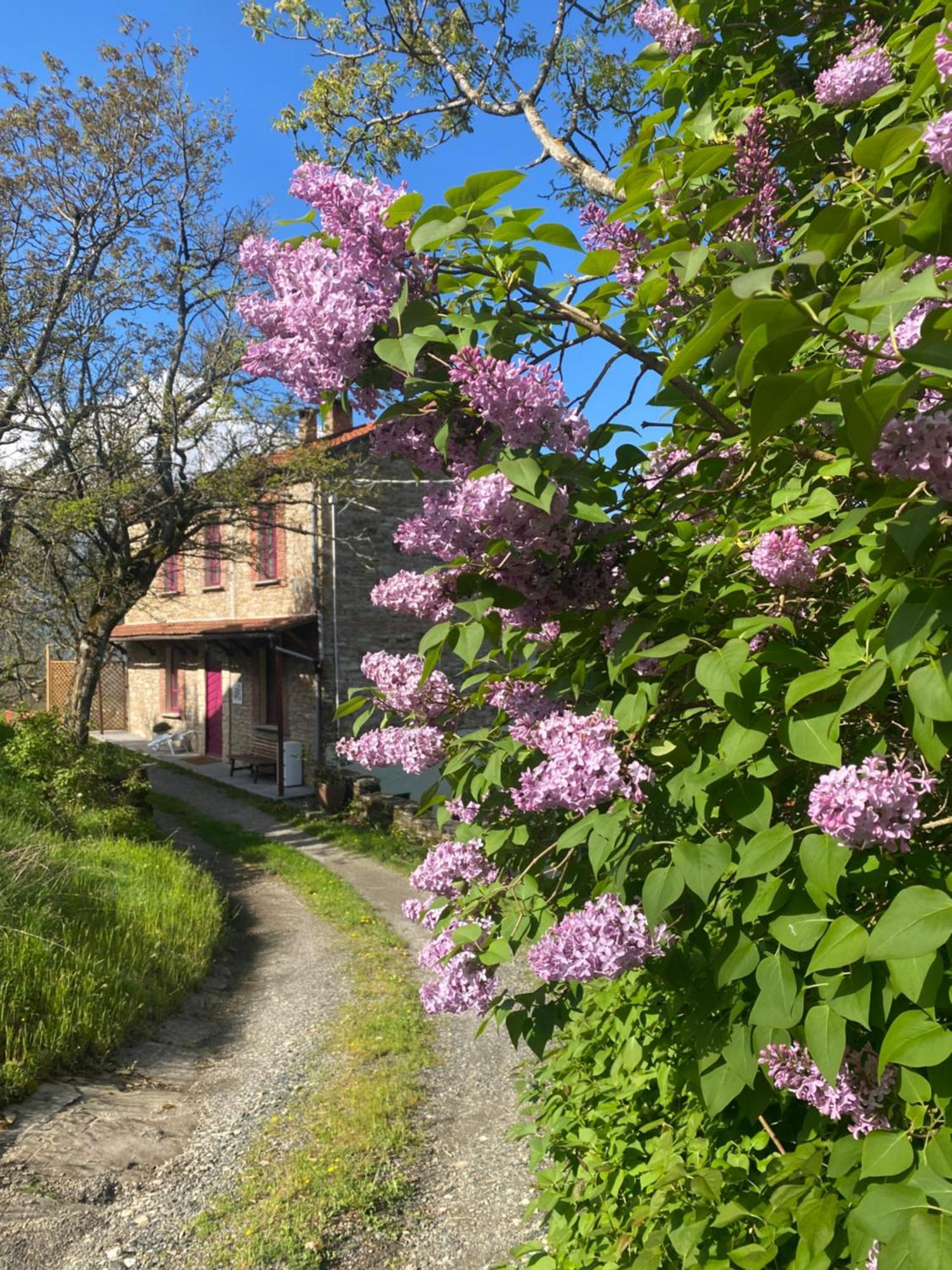 La Lupa E L'Orso Bed and Breakfast Berceto Εξωτερικό φωτογραφία
